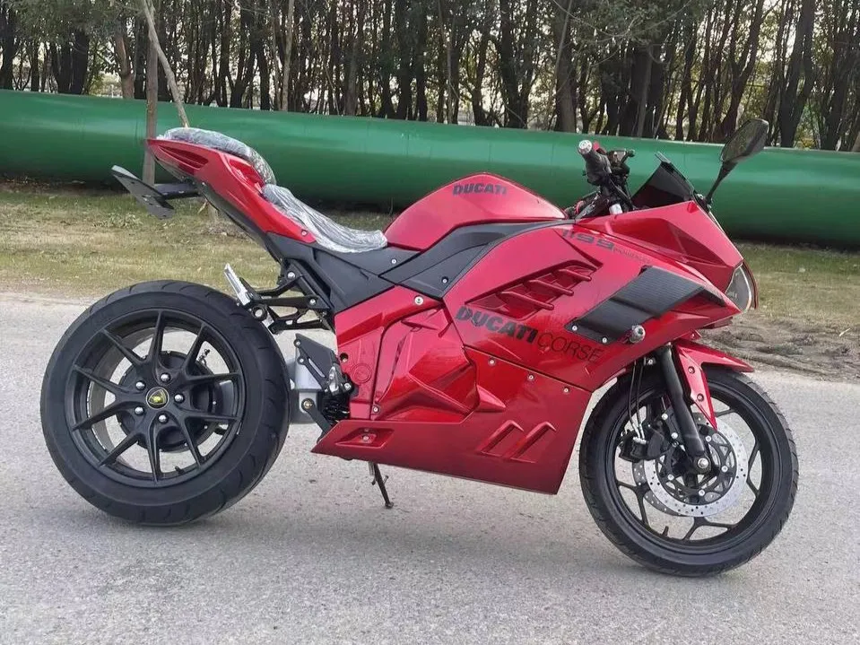 PANIGALE мономаятник от 236 216 р