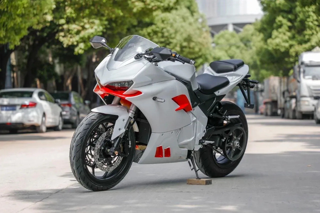 PANIGALE ременной мономаятник от 330 915 р
